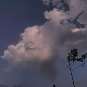 亚洲精品国产精品99久久
